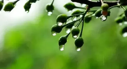 舟山梅雨季节是什么时间2022