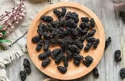 桑葚干没开封过期了还能吃吗