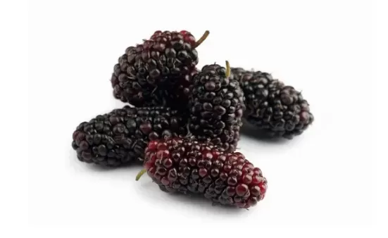 桑葚一次可以吃一斤吗