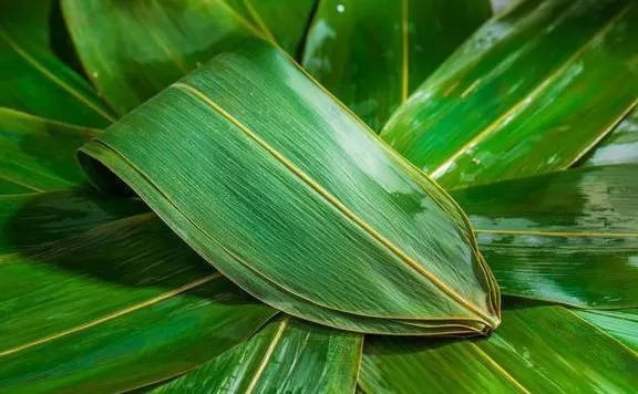 粽叶大的好还是小的好