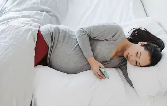 2022年几月怀孕是兔宝宝