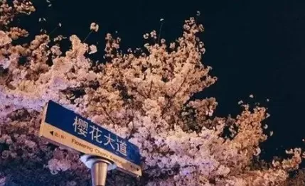 2022年3月去武汉看樱花需要做核酸检测吗2