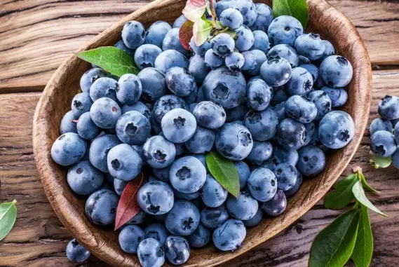 蓝莓坚持吃多久对眼睛好1