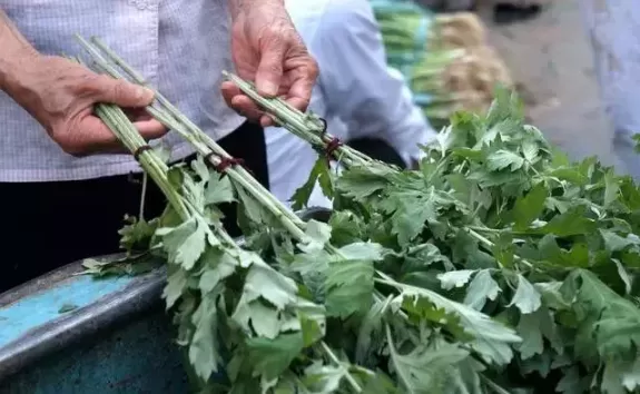 艾草红杆的与白杆的哪个更好