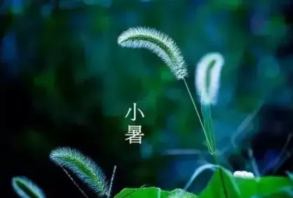 2022年过了小暑热吗