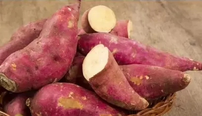 红薯要怎么种才可以结得多一点2