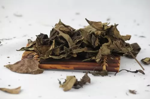 大叶茶的功效与作用