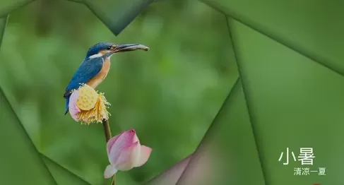 2022小暑和大暑哪个更热