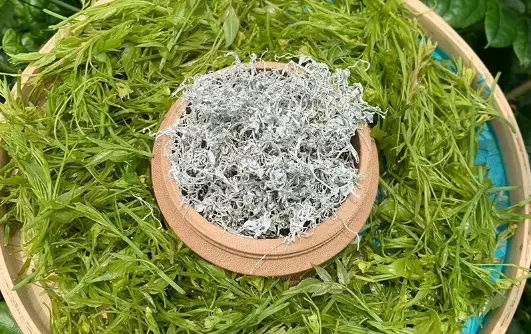 莓茶可以长期泡水喝吗