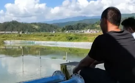 5亩鱼塘一年多少利润