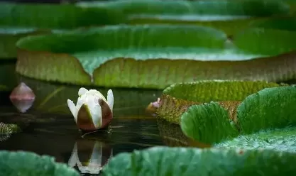 2022小暑后是不是更爱犯困