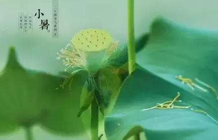 2022年过了小暑热吗