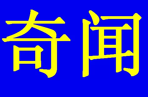 饭搭子 趵突泉3只胖锦鲤组团出游 还排队出游