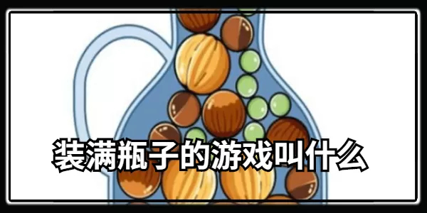 装满瓶子的游戏叫什么