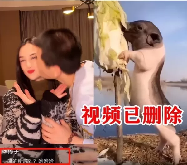 黄圣依曝婚变后与杨子同框直播 两人无任何交流画面尴尬