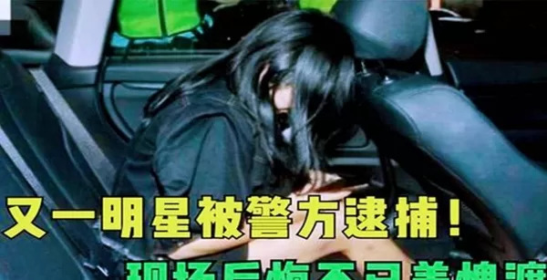 又一知名女明星被逮捕 现场狼狈不堪羞愧遮面 大好前程毁于一旦