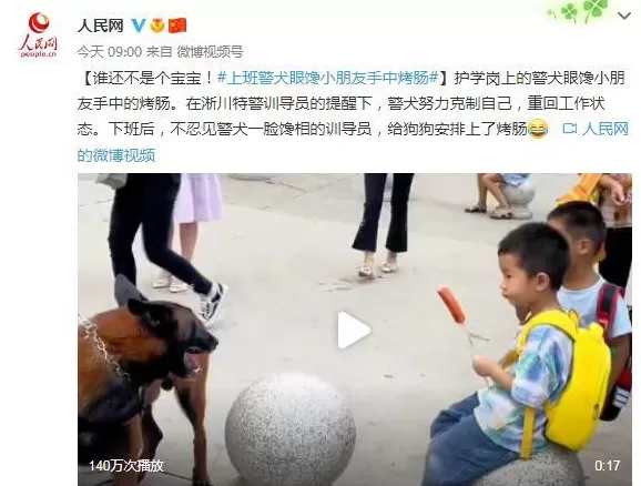  上班警犬眼馋小朋友手中烤肠