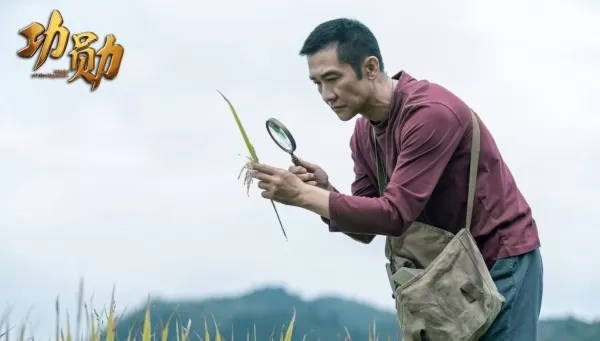 《我们这十年》有哪些期待点   30位实力派演员助阵