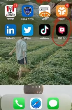 novelai怎么充值 novelai图像生成软件充值方法
