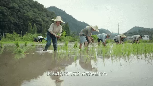 《我们这十年》有哪些期待点   30位实力派演员助阵