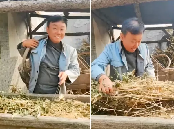 52岁邵峰晒片场农村生活 脚踩布鞋手挎竹篮