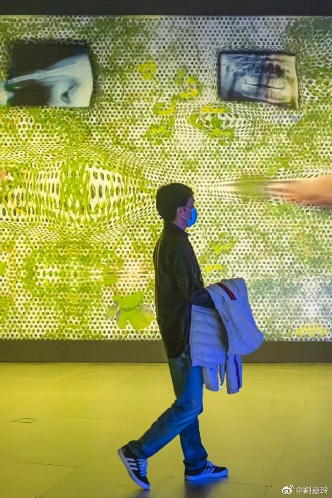 刘嘉玲分享梁朝伟最新骑单车照 少年感十足