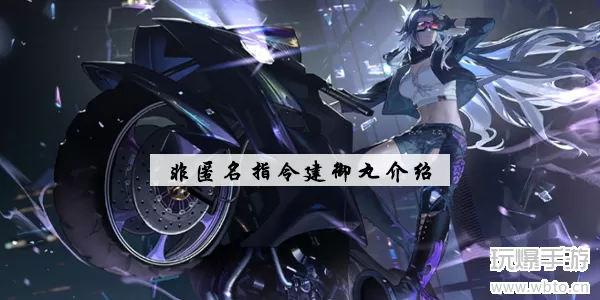 非匿名指令建御丸介绍