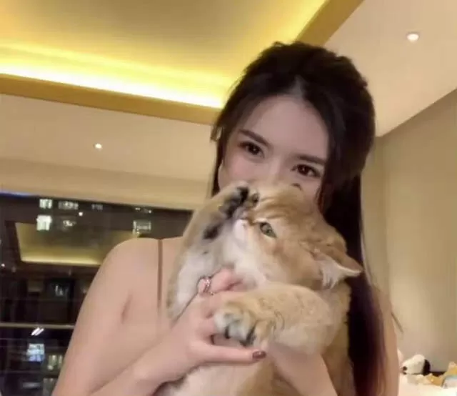 美女网红被曝盗窃十万财物不承认 穿窃衣炫耀