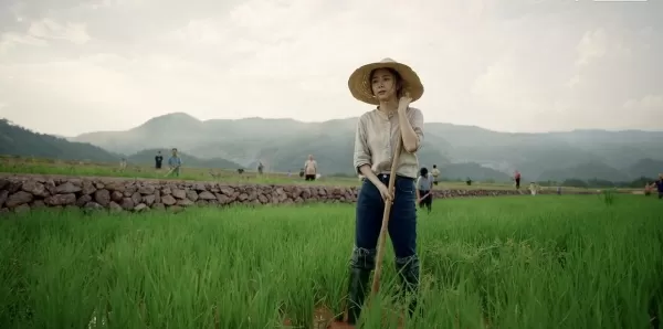 《我们这十年》的故事原型有多感人 每个人都有一个“乡土梦”