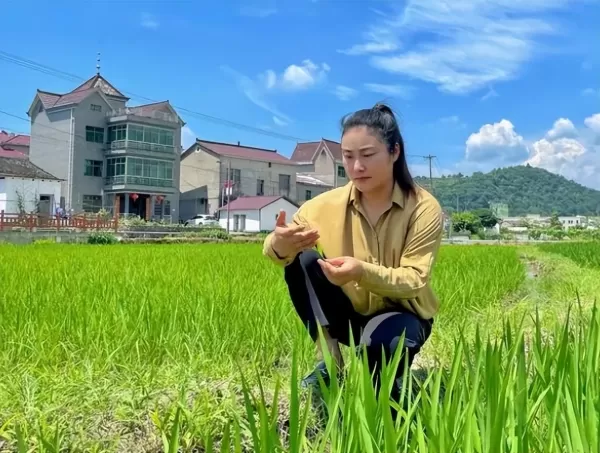 《我们这十年》的故事原型有多感人 每个人都有一个“乡土梦”