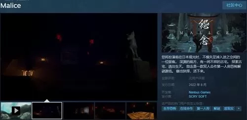 怨念malice同屏吗 双人同屏联机方法