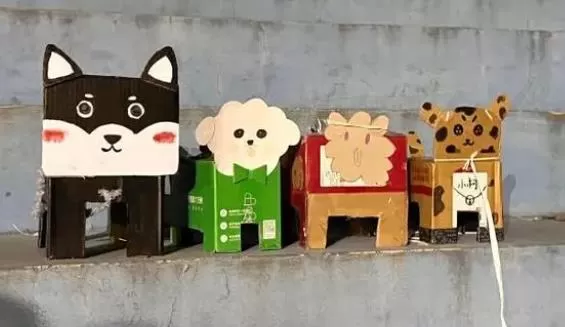 “纸盒狗”风靡中国高校 小东西还能看家
