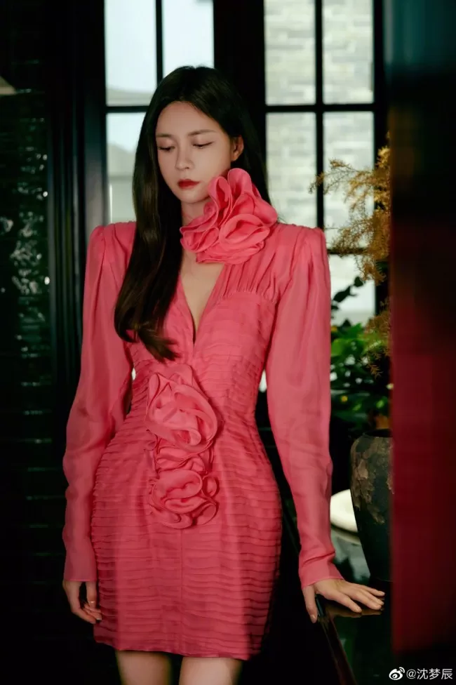 沈梦辰粉色深V裙小露性感  长发披肩露细腰长腿