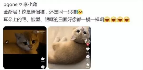 李小璐绯闻男友被扒 两人相差13岁为说唱歌手