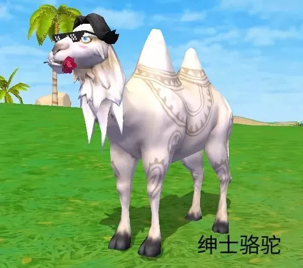 创造与魔法奇遇动物哪些可以进化 最新奇遇坐骑进化一览表