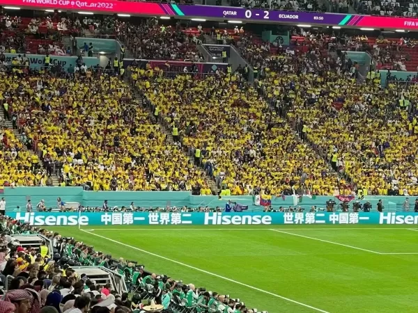 世界杯赛场中国元素眼花缭乱 “中国第一”广告牌亮了