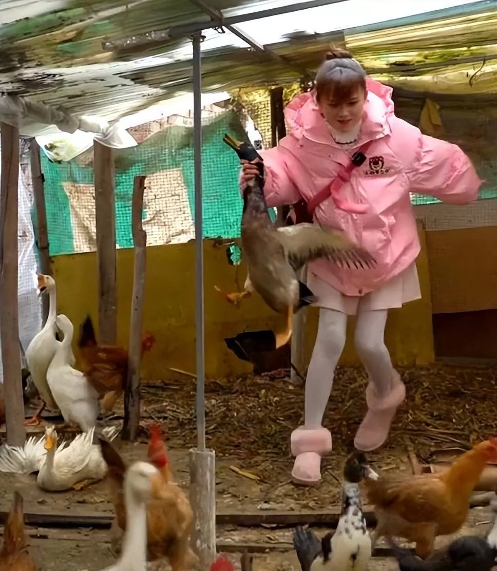 网红严素又翻车