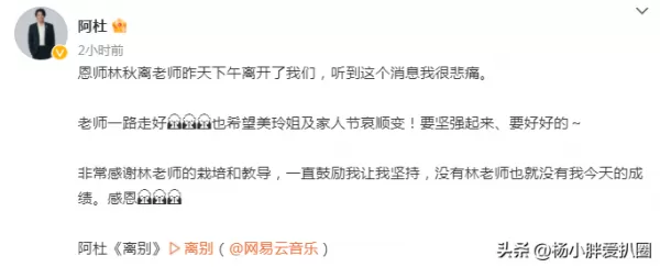 曾为300名歌手写歌 每一首都爆火 词作家林秋离有哪些代表作品