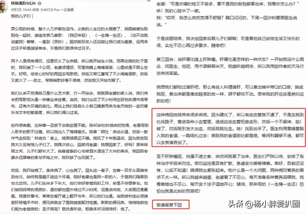 曾为300名歌手写歌 每一首都爆火 词作家林秋离有哪些代表作品