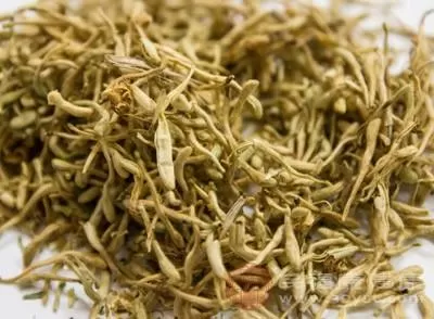 配方来了 广东发布新冠中医药防治方案