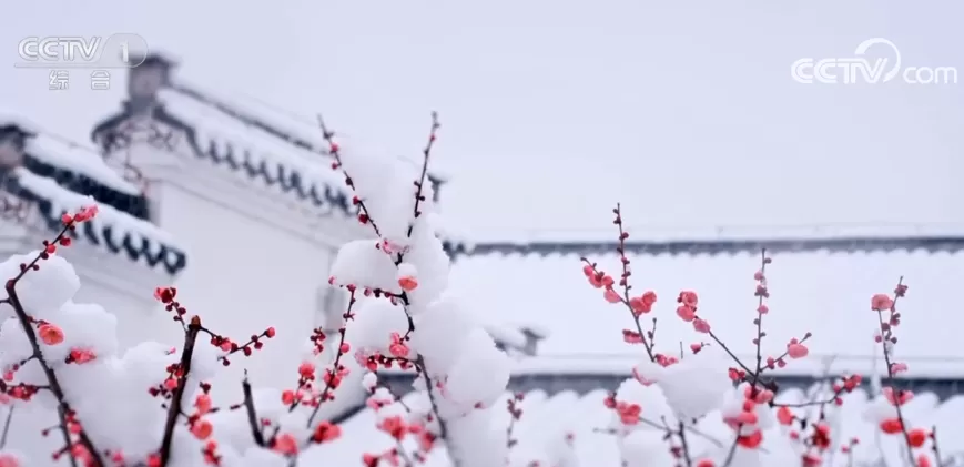 今日小寒：忽吹微雨过 便觉小寒生