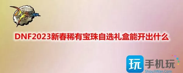 DNF新春稀有宝珠自选礼盒能有什么  新春稀有宝珠自选礼盒奖励一览2023