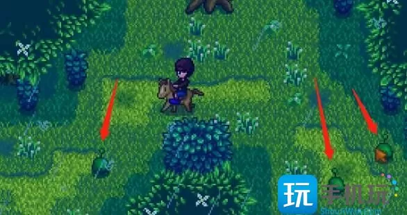 星露谷物语矮人卷轴怎么获得 矮人卷轴获得方法介绍