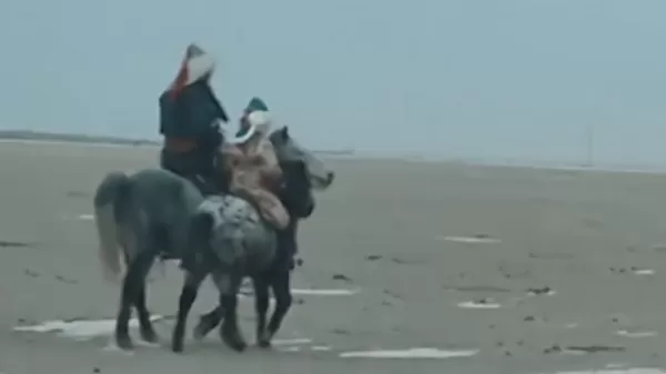 太拉风了 内蒙古牧民带8岁女儿骑马去拜年