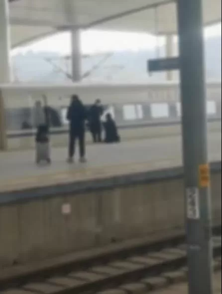 男子疑因抽烟错过高铁跪地求开门     科普错过列车关门时的正确补救方法