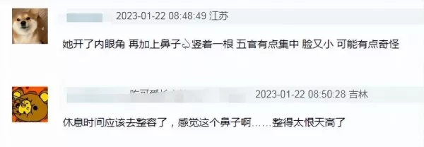 李子柒最新露面变样了  被网友质疑做了医美