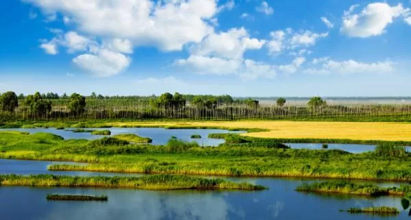 我国新增国际重要湿地18处 跟随镜头一同领略中国湿地之美