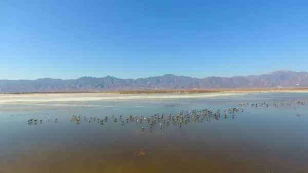我国新增国际重要湿地18处 跟随镜头一同领略中国湿地之美
