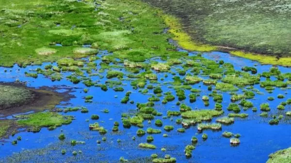 我国新增国际重要湿地18处 跟随镜头一同领略中国湿地之美