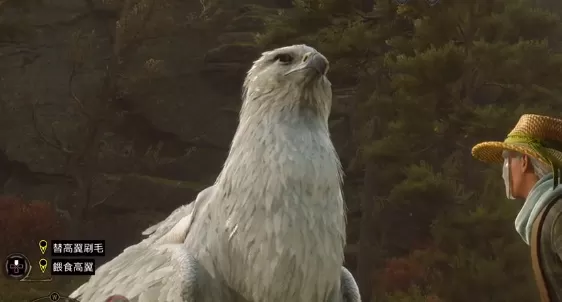 霍格沃茨之遗怎么解锁坐骑